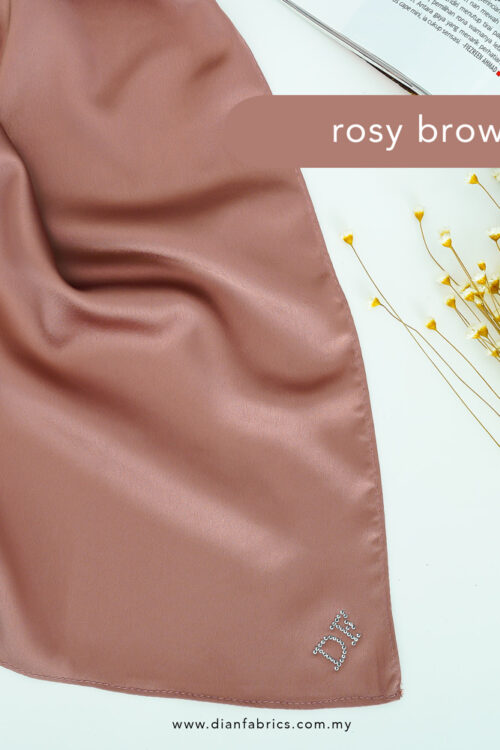 ROSY-BROWN3